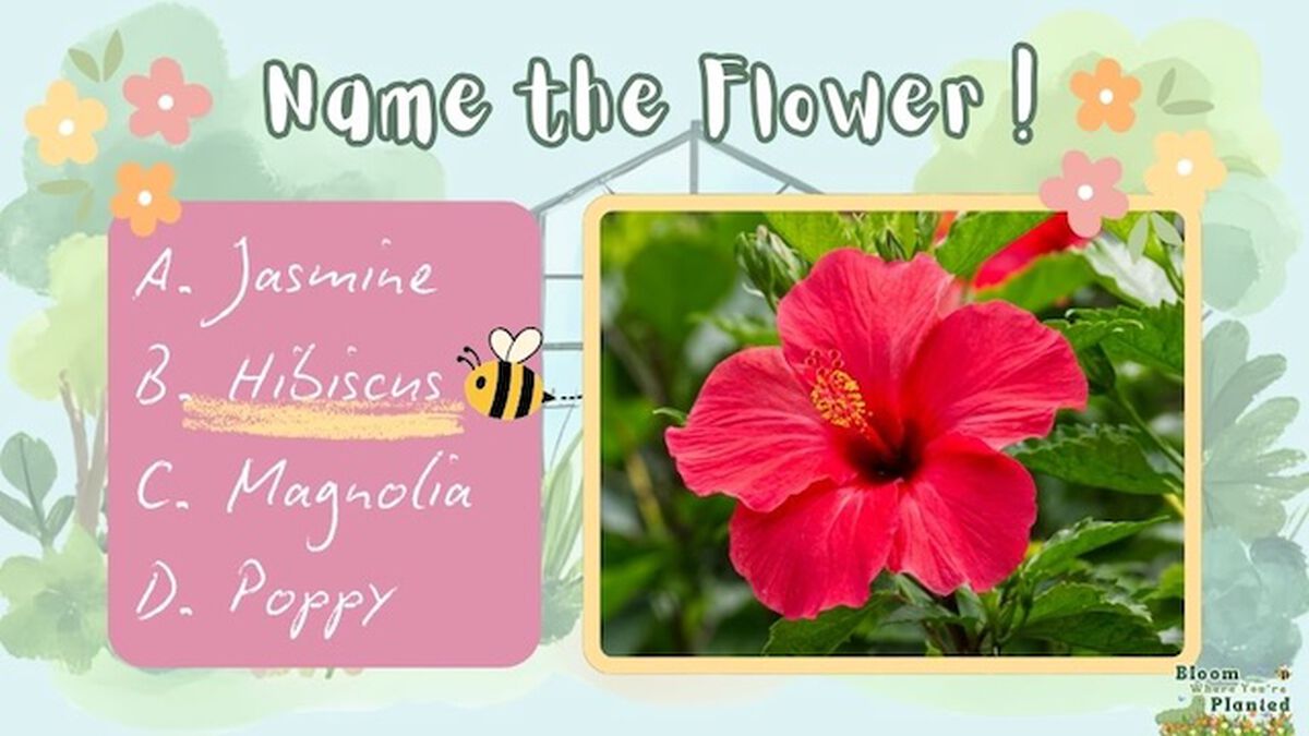 Bloom Where You're Planted image number null